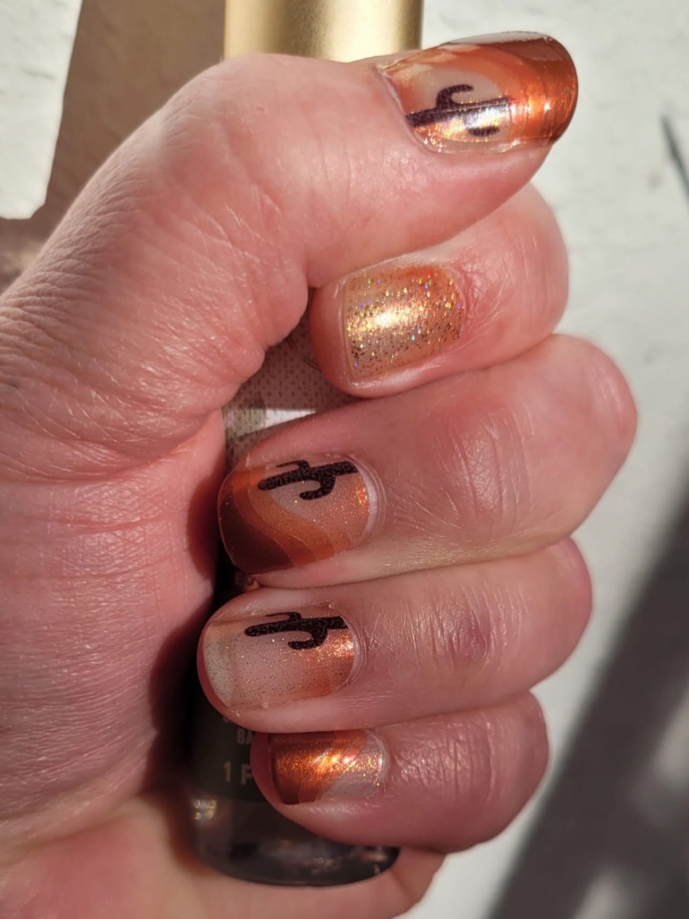 *Exclusive* Color Street: Wild West | Cactus Gold Shimmer Western Sunset Desert